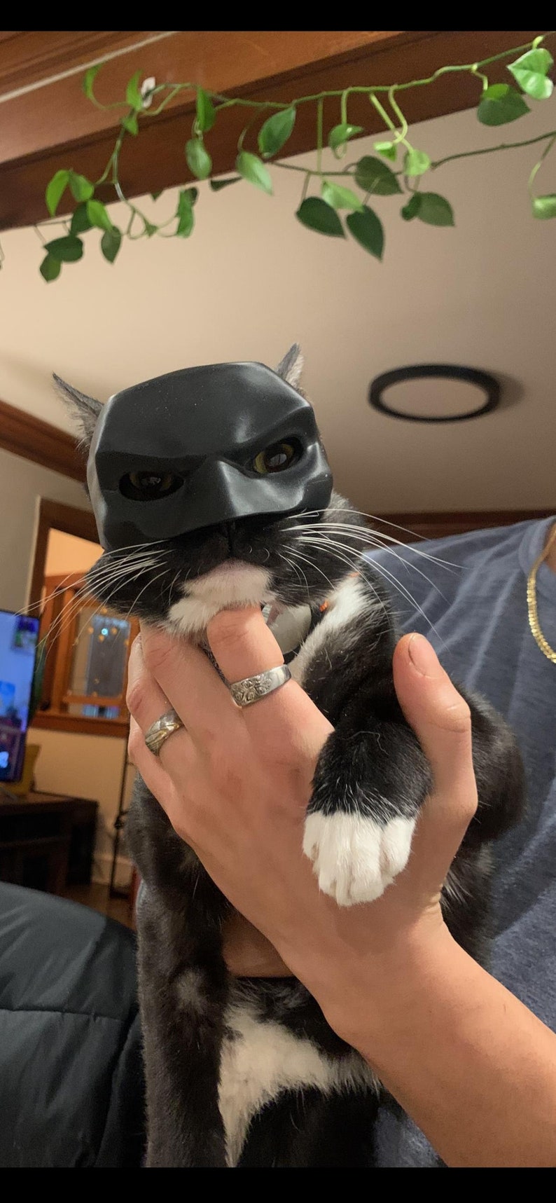 Superhero Cat Mask for TikTok Trends